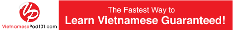 Learning Vietnamese?  Me too!